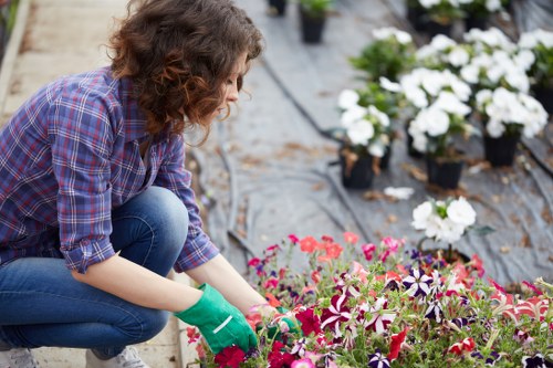 Gardeners Norbiton team starting a garden project outdoors