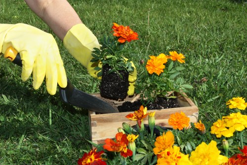 A person using a screen reader and keyboard while viewing gardening information on a laptop.