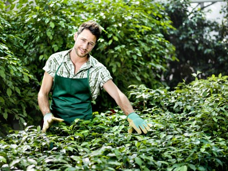 Gardener assessing a garden site for hazards