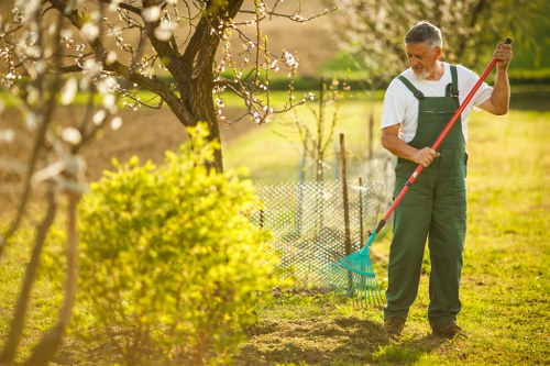 Inspector reviewing a garden during a formal complaint investigation